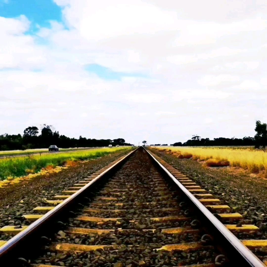 6260004196769