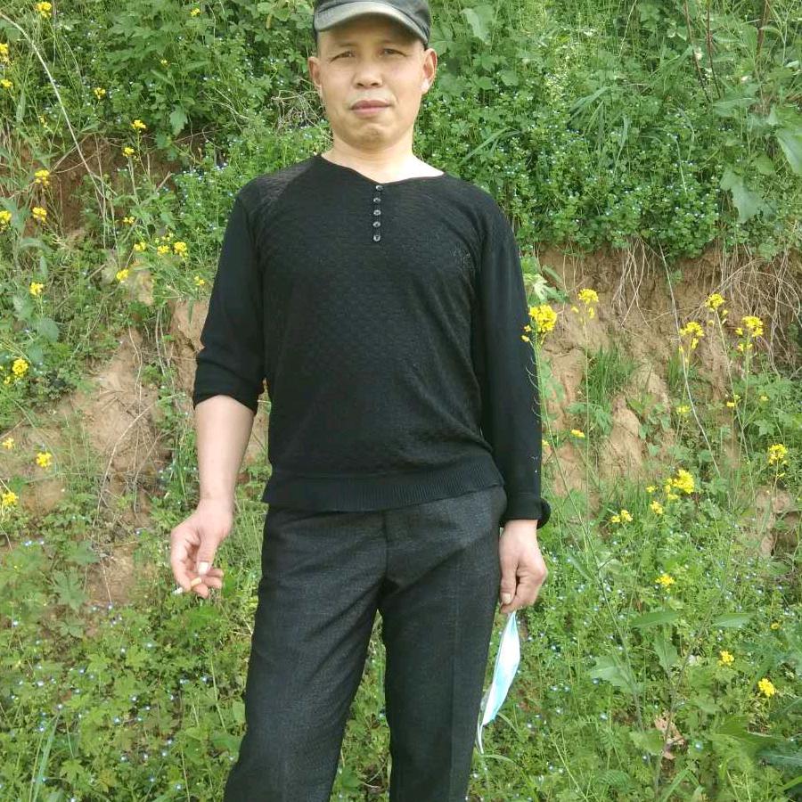 任敬平