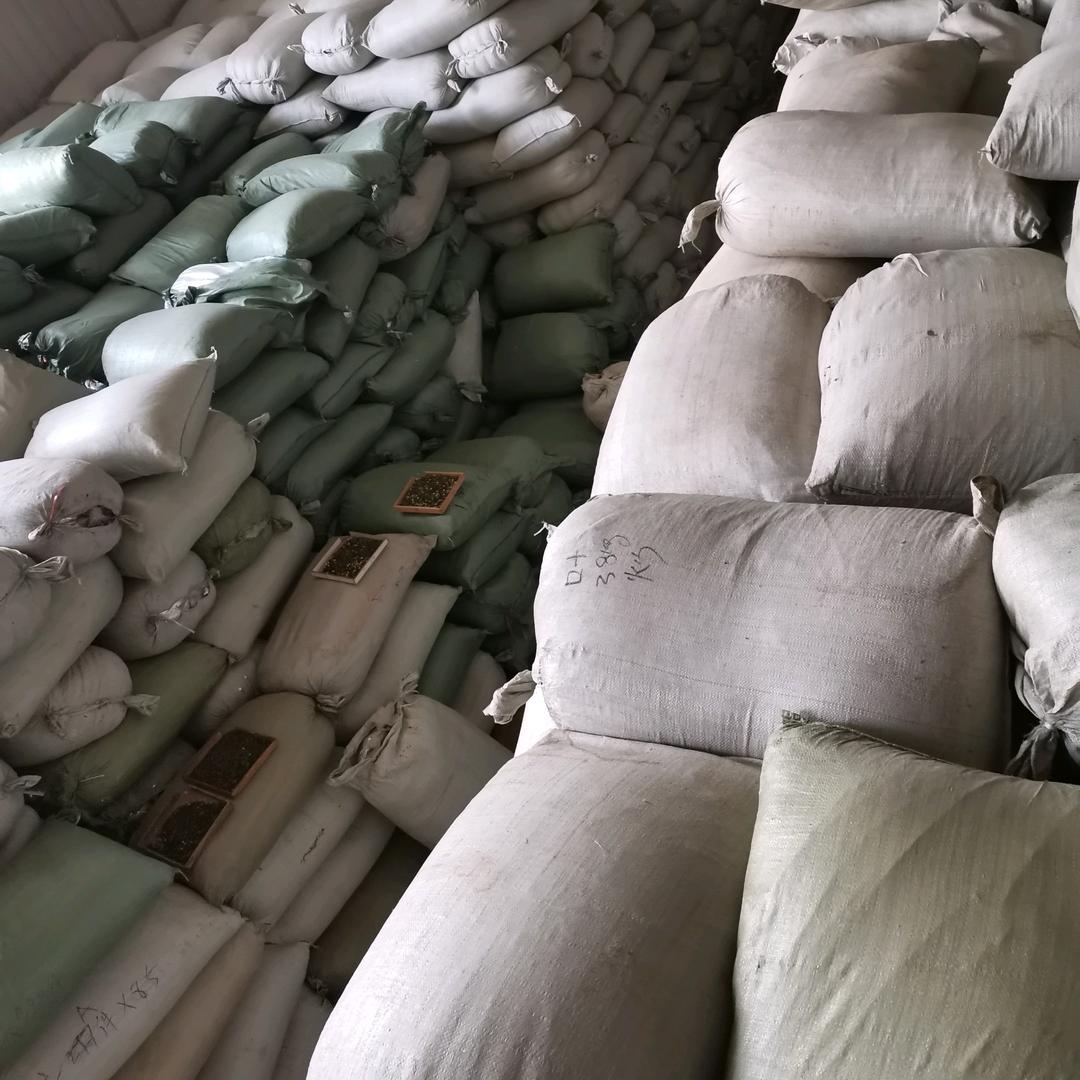 专收处理茶的小陶