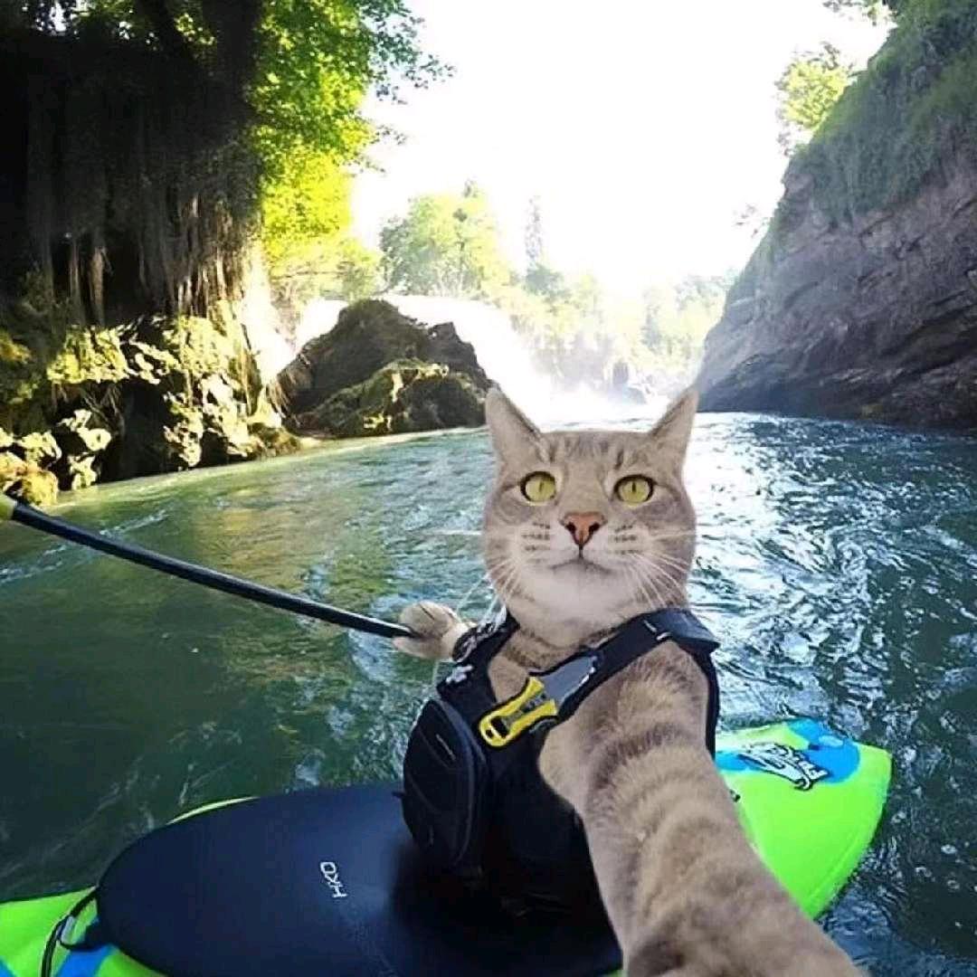 小周翻唱（留学版）