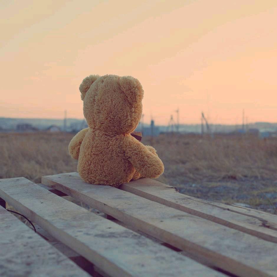 困困鱼૮・ᴥ - ა