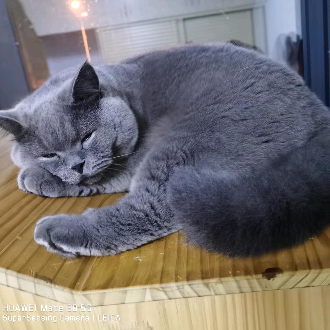 土豆🈚极限🍄