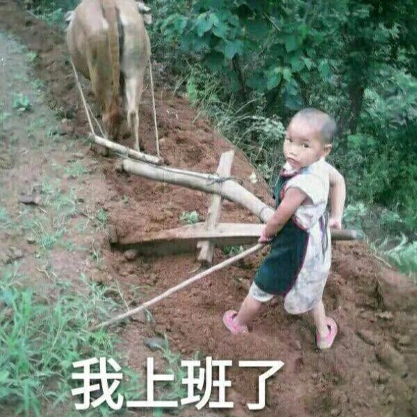 桃源耕夫