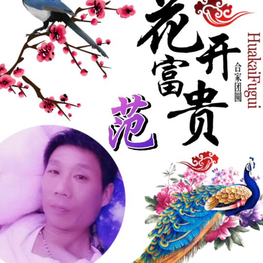 范金伟