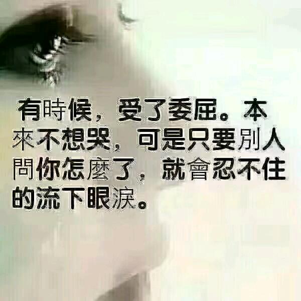 自由如风燕