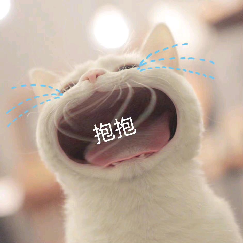 是猫猫呀～
