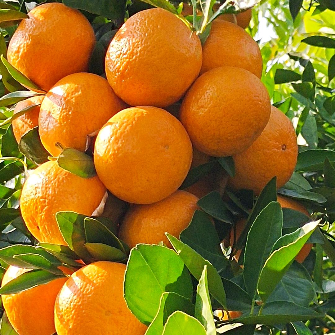 开心快乐，过好每一天