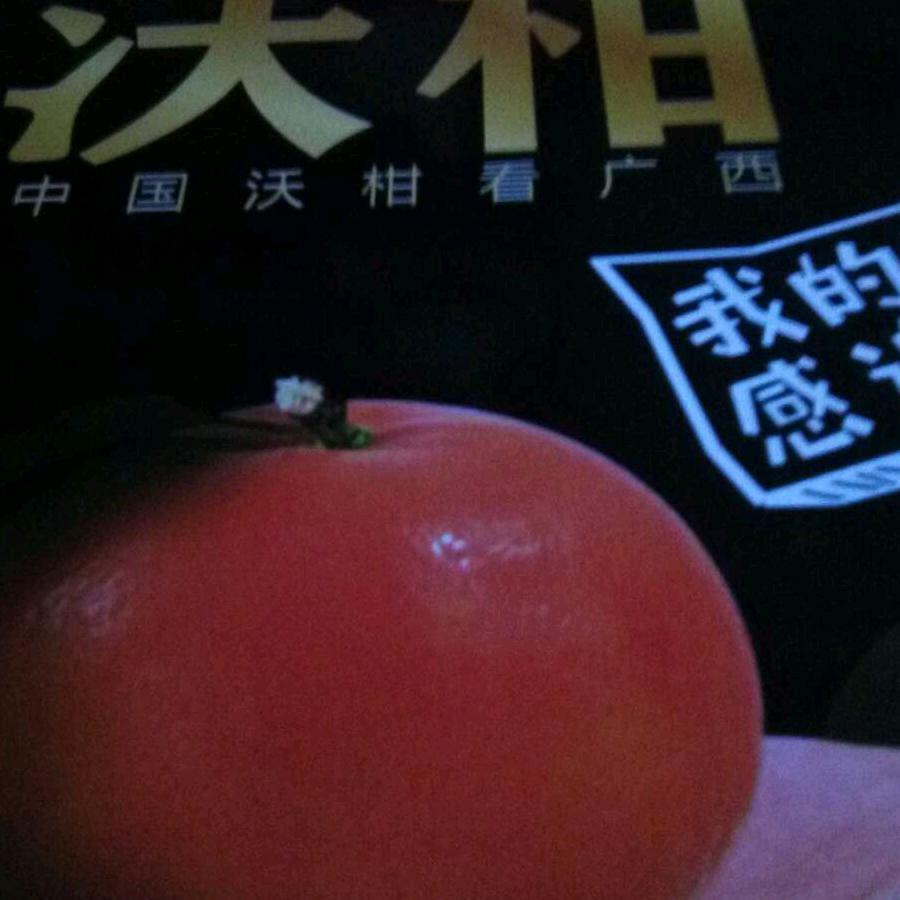 敖包相会