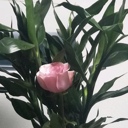 奔向