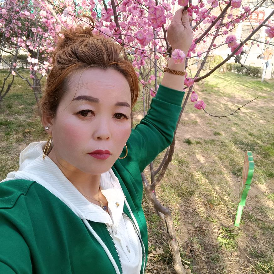 小燕子