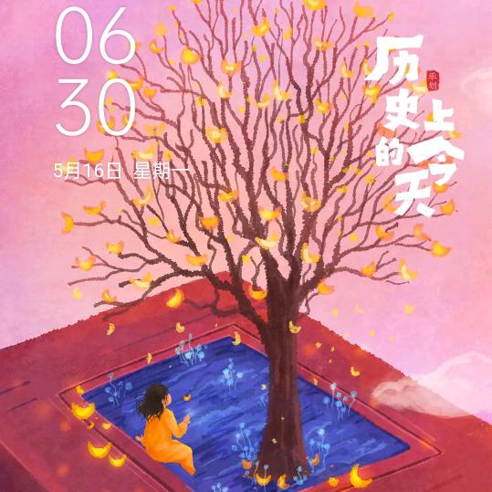 云，闯天下，专业端菜队