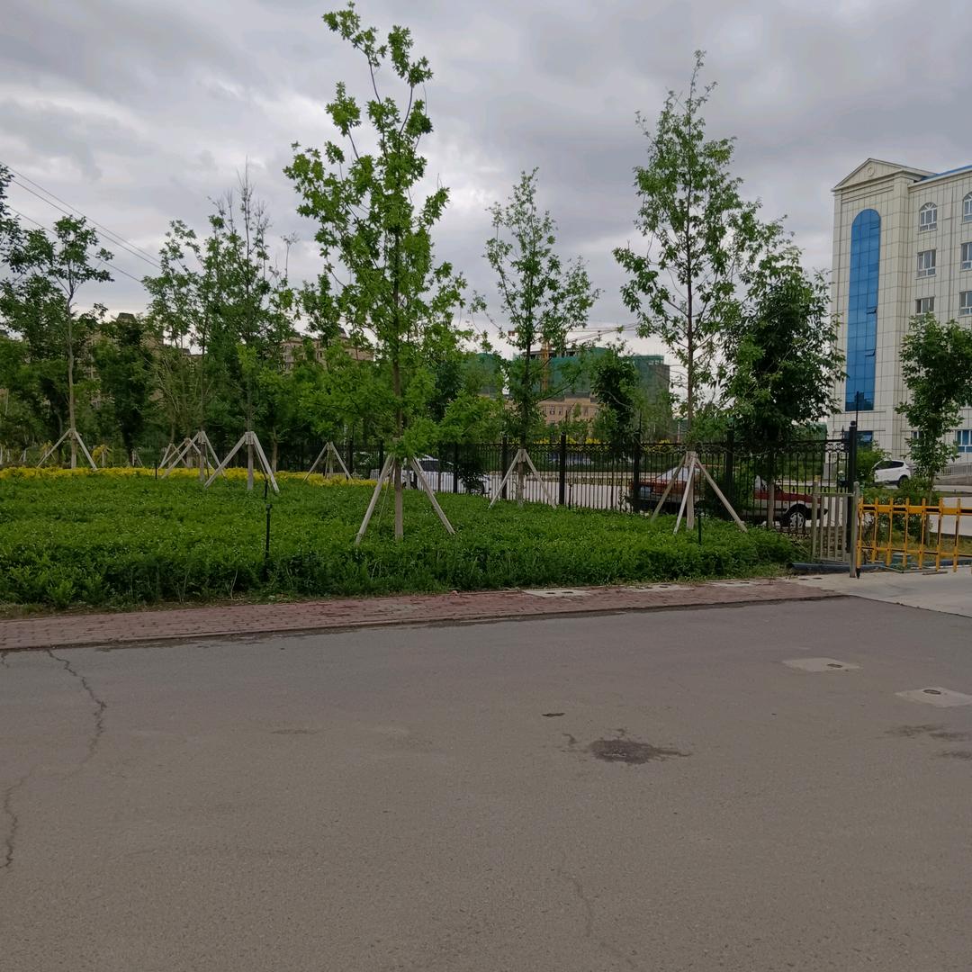 封心锁爱不涉红尘