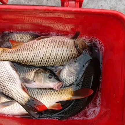 AA红阳石材曹凯