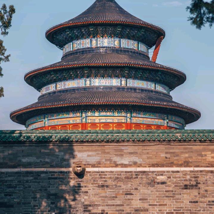 天.天开心