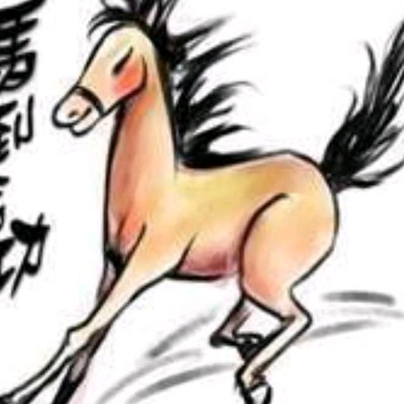 飞马哥