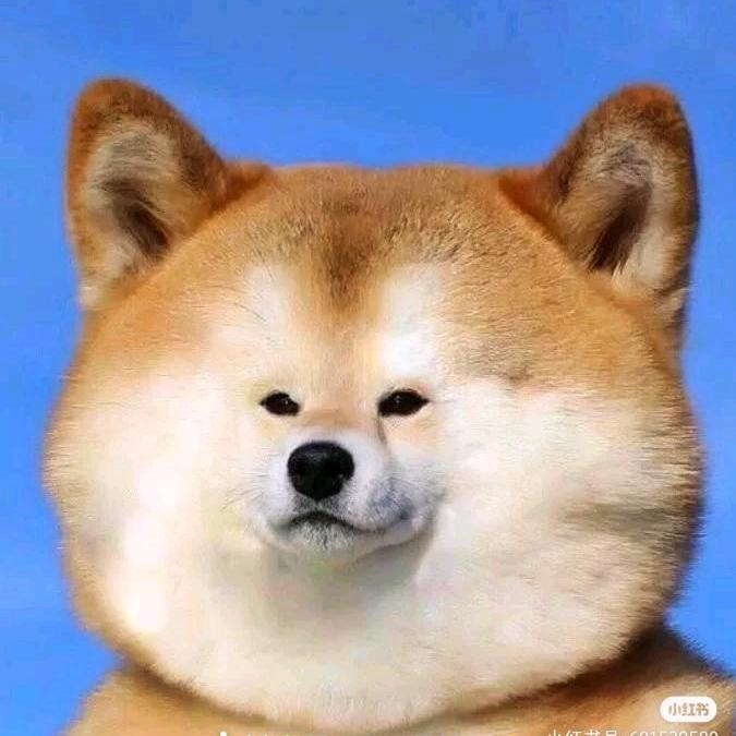 修勾啊修勾