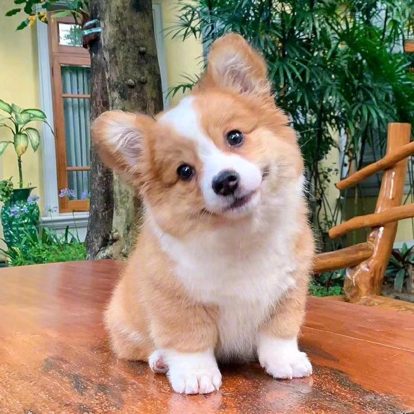 一个做家具维修老实人