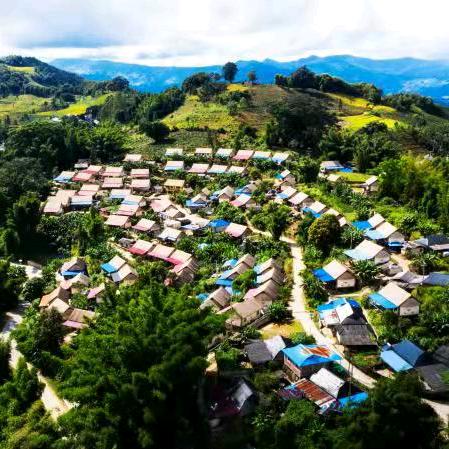 笑口常开每一天🌹️🌷️🌻️🌹️