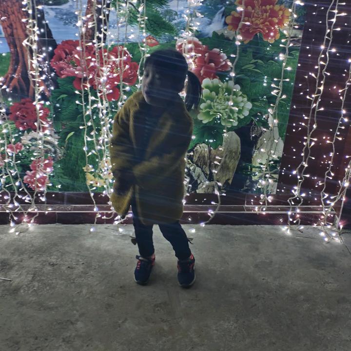 梓宇