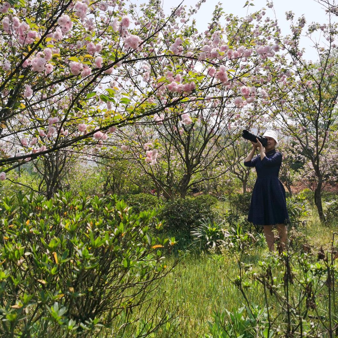 云花开.谋