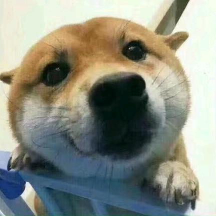 法克彩虹