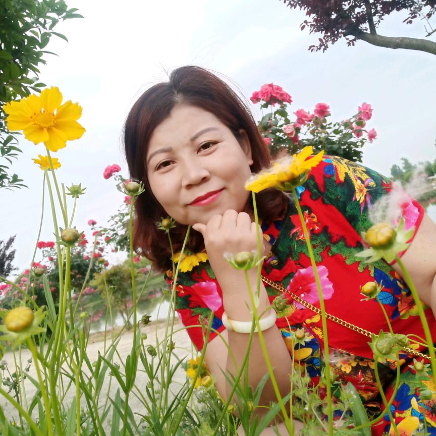 仙女落凡陈（清水芙蓉）