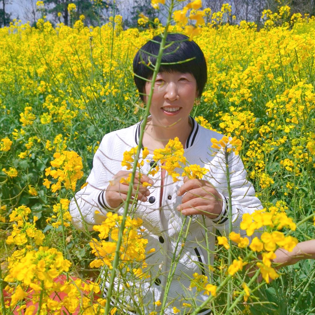 芝兰玉树
