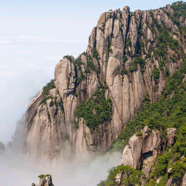 渔翻天鱼头泡饼