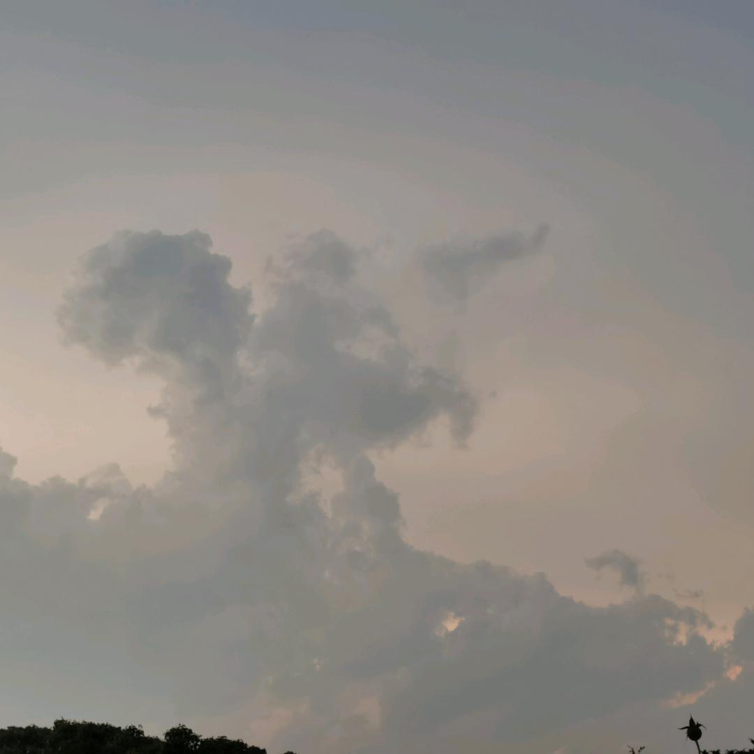 HH的小老头❤️