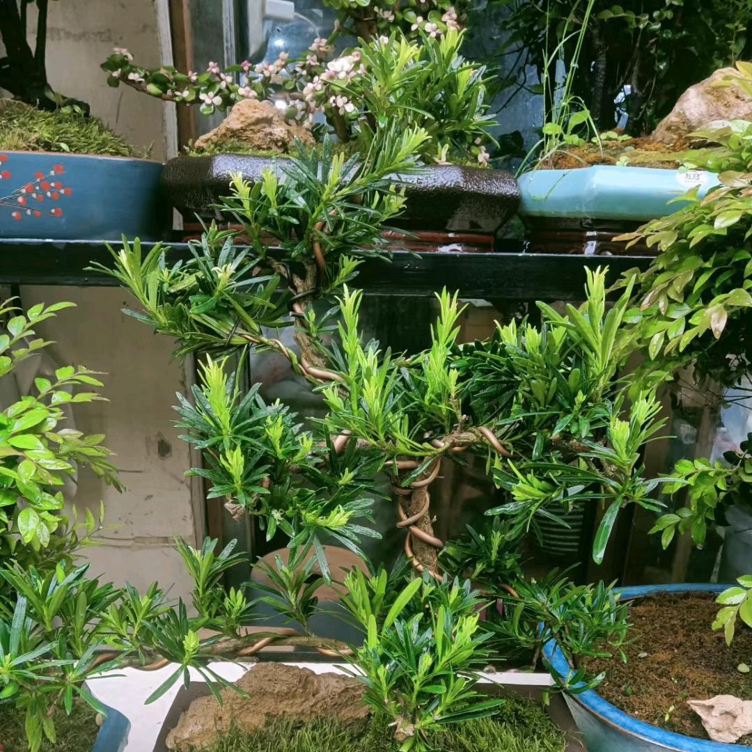 往后余生只爱你