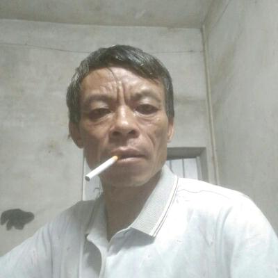 蜂王
