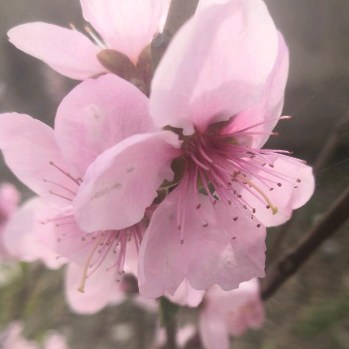 落日
