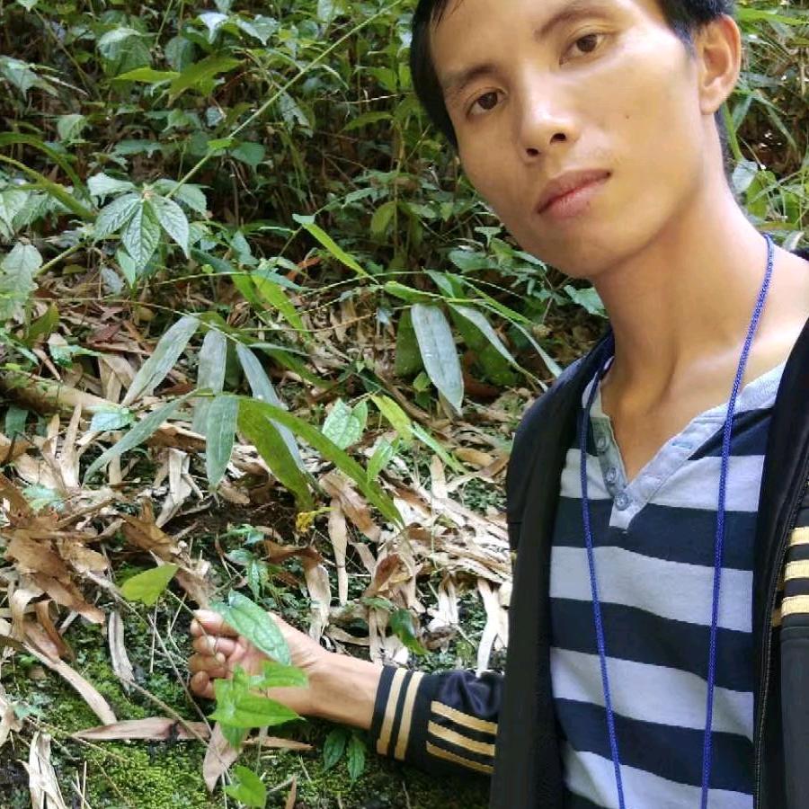 梧州莫少-南方药材苗、种子-果树苗等