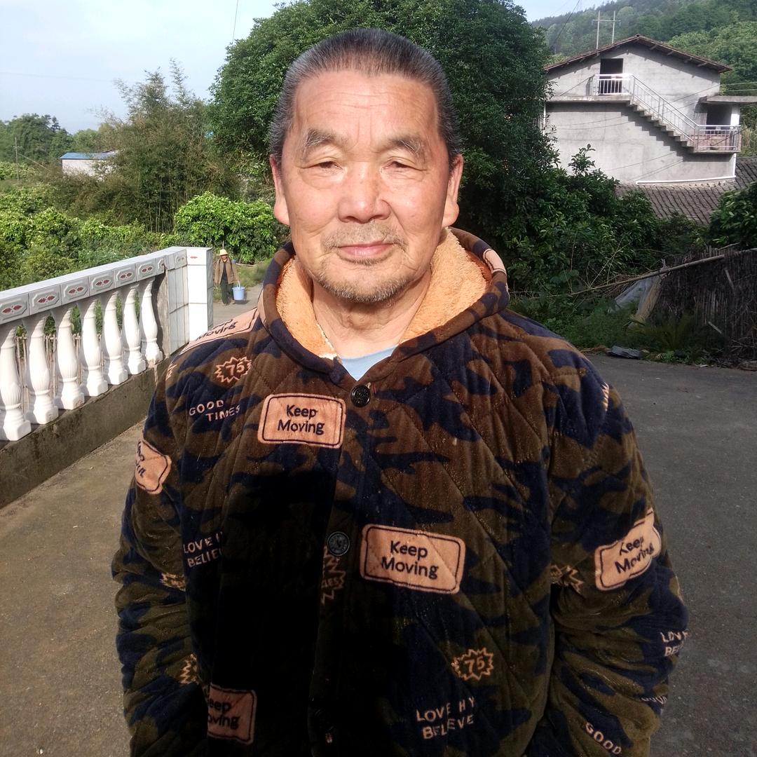 老朱