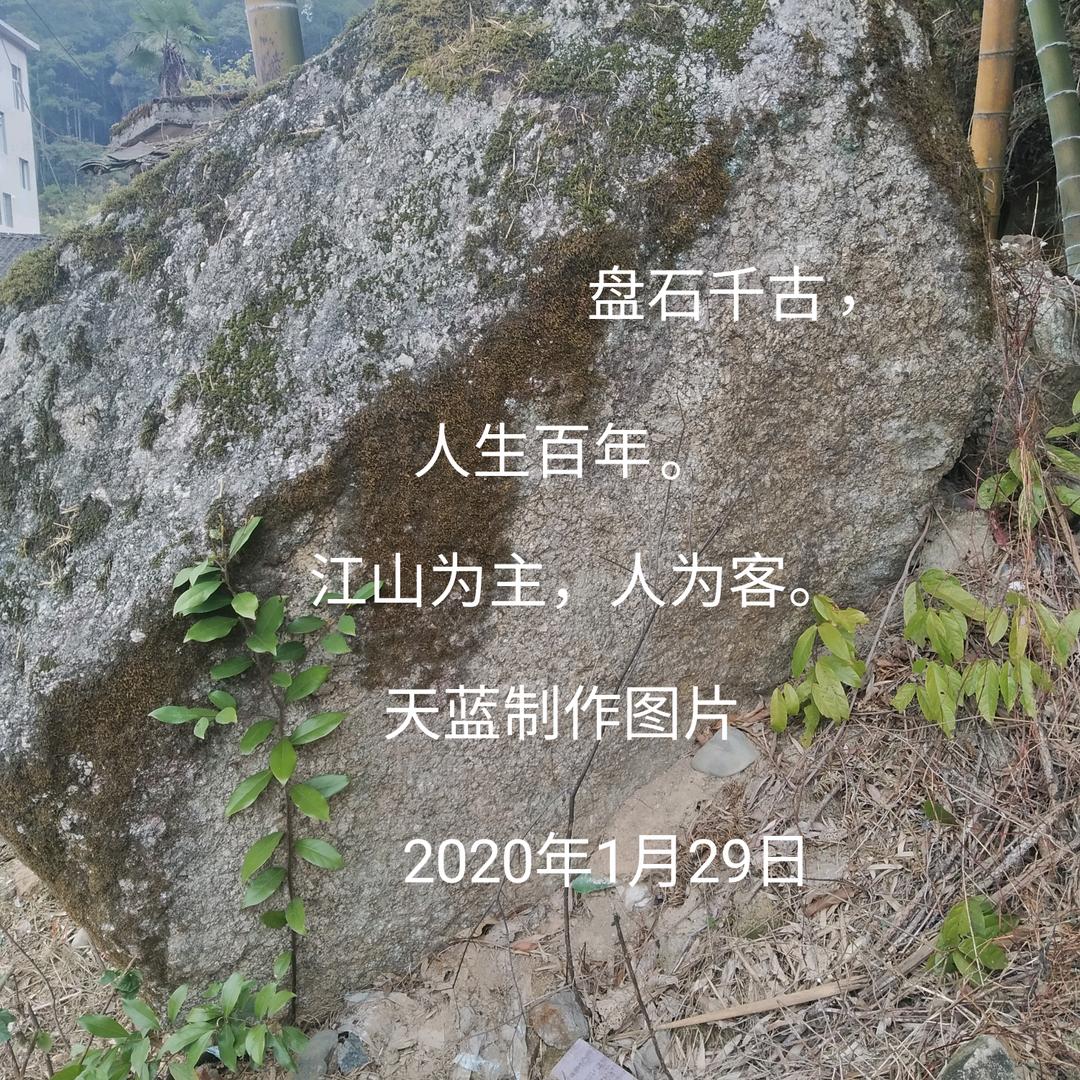 神眼看世间