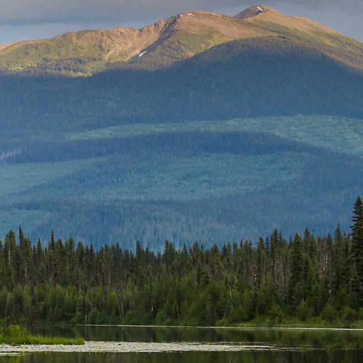 砖头一样的小郝