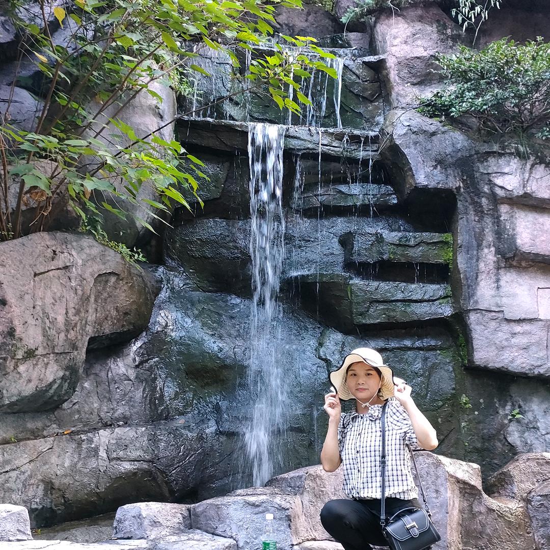 杨梅