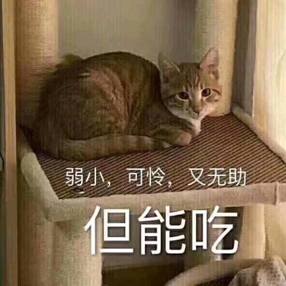 疯小孩