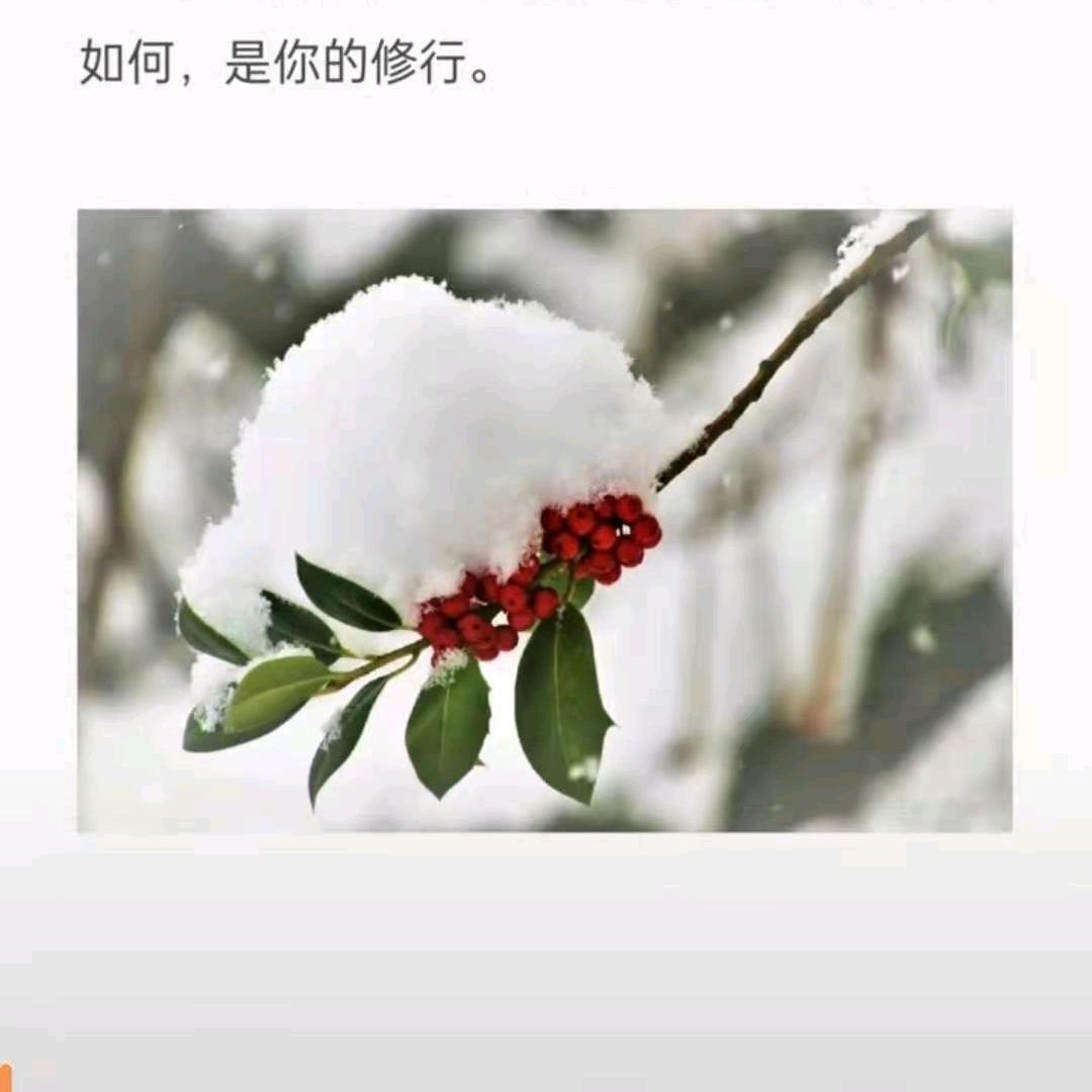 清风/徐来