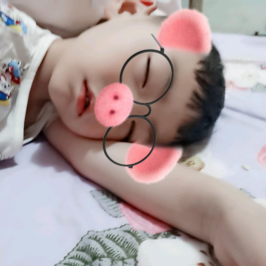 豪豪奶