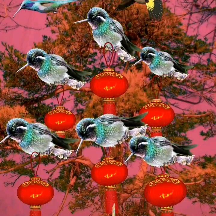 用户8855033208186