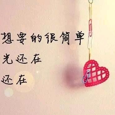 如如 愿愿
