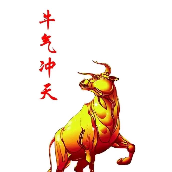 牛多多