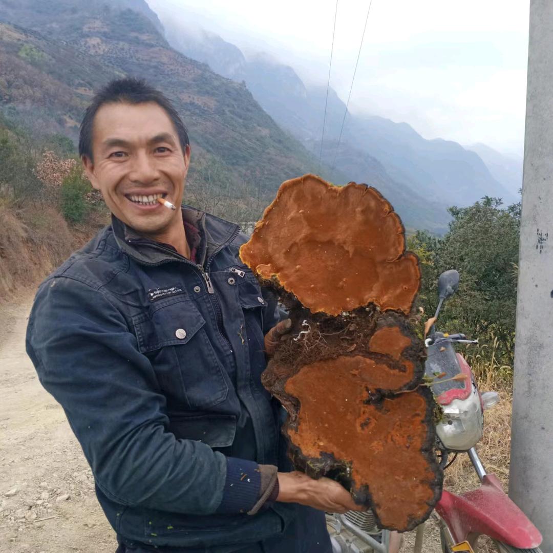 百草堂陈开斌