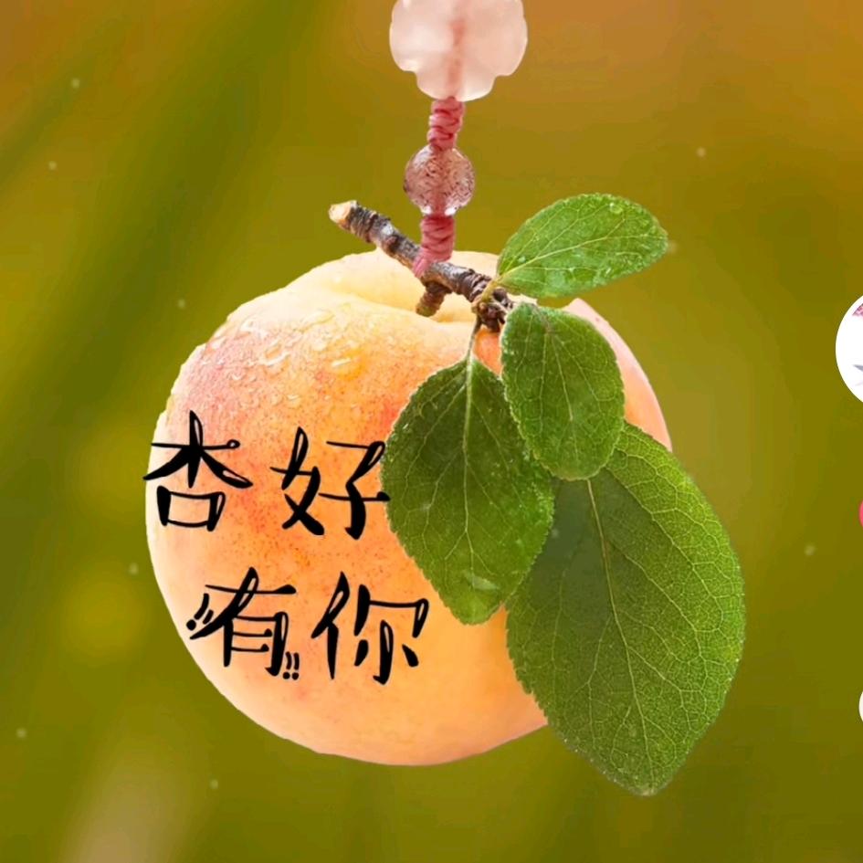 春暖花开！！！