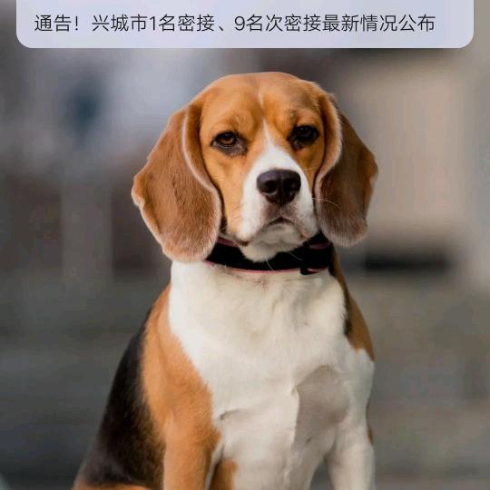 用户7005583825793
