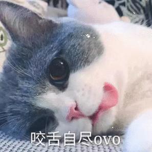 sky乐乐