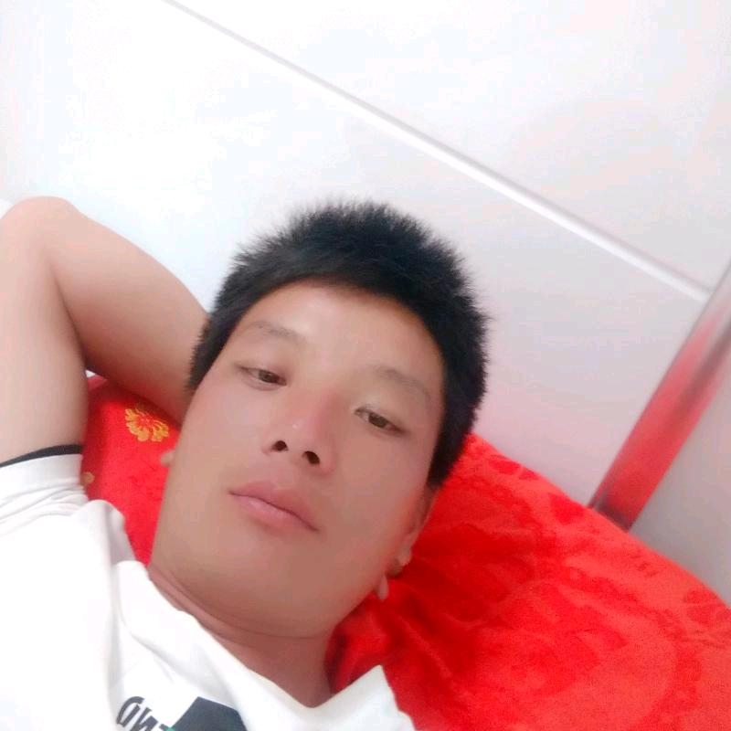 专业上海周边，收树，杂木，小区修剪，苗圃