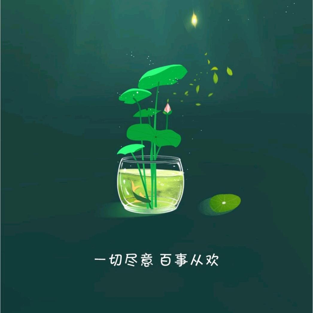 刘大大姐