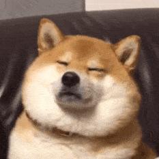 就叫伟哥吧！
